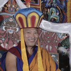 Visita de S.S. Lungtok Dawa Dargyal Rinpoche a México – Jul 2019